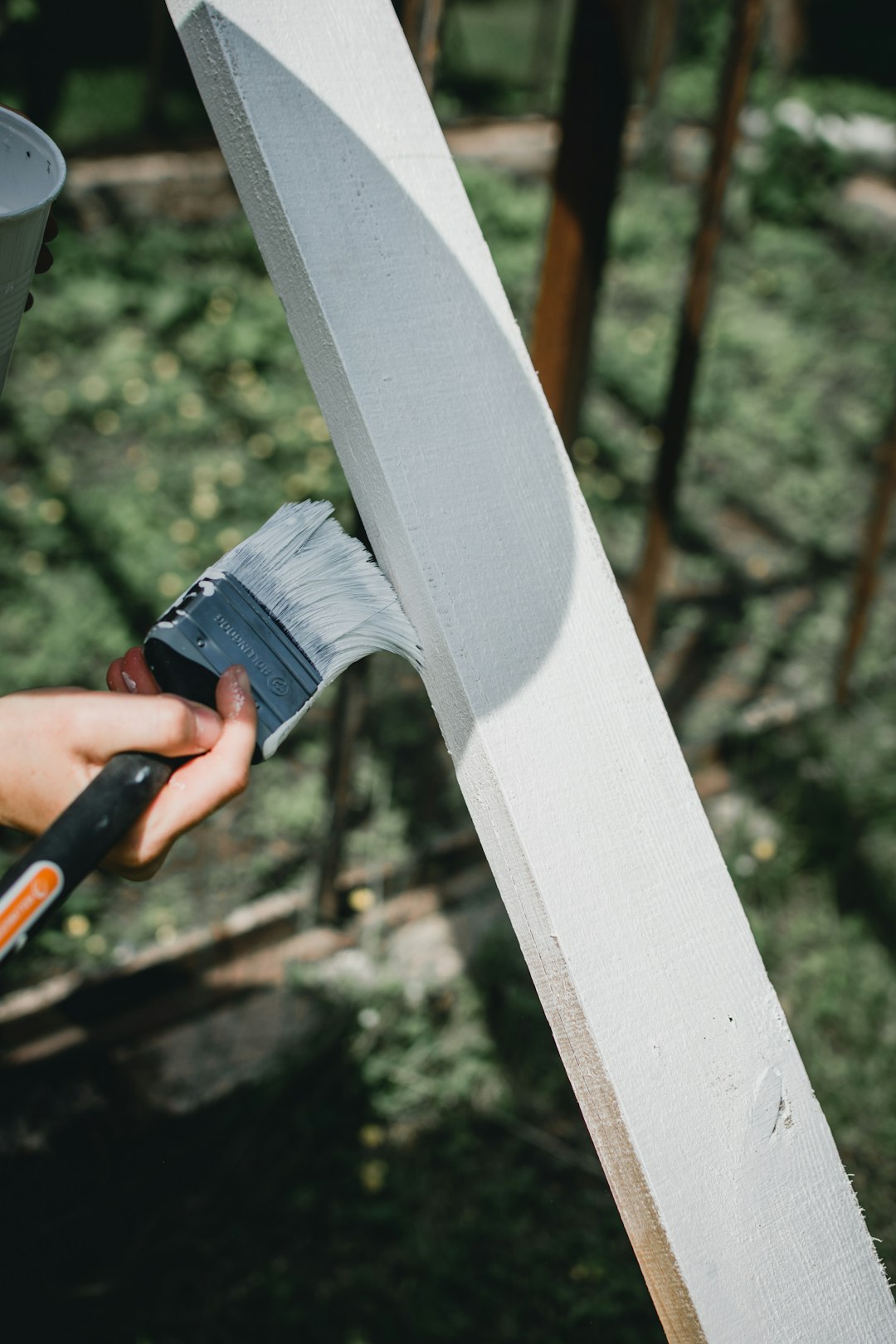 Painting services Chelmsford interior project